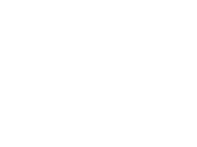 execution graph